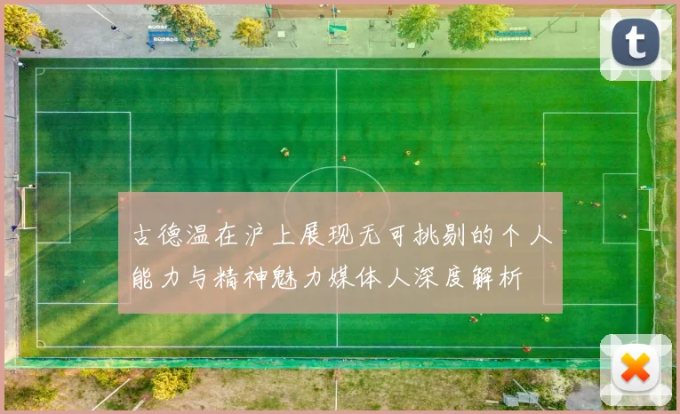 古德温在沪上展现无可挑剔的个人能力与精神魅力媒体人深度解析